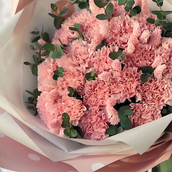 Букет "Гвоздика с фалярисом" Букет "Гвоздика с фалярисом"