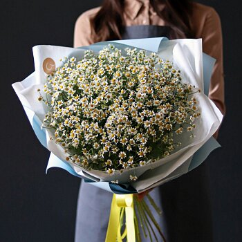 Букет "Полевых ромашек" Букет "Полевых ромашек"